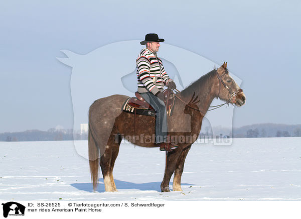 Mann reitet American Paint Horse / man rides American Paint Horse / SS-26525