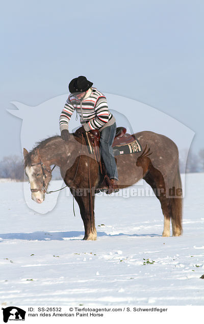 man rides American Paint Horse / SS-26532