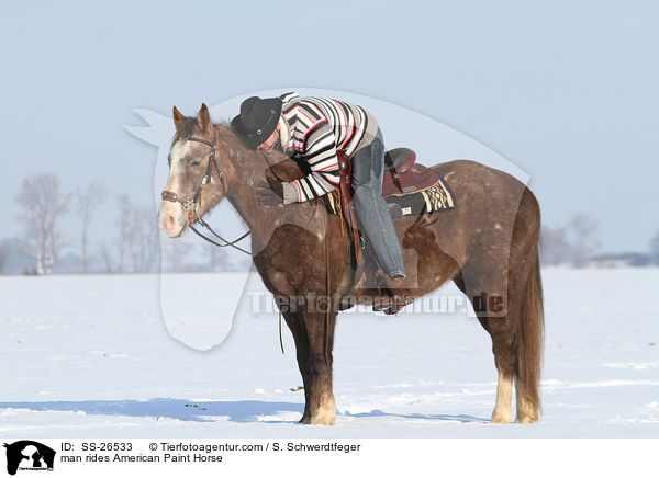 Mann reitet American Paint Horse / man rides American Paint Horse / SS-26533