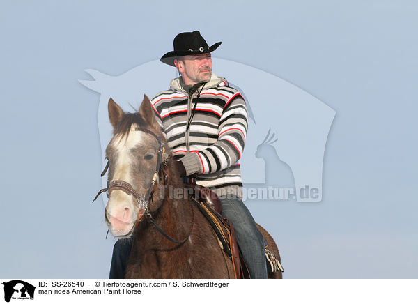 Mann reitet American Paint Horse / man rides American Paint Horse / SS-26540