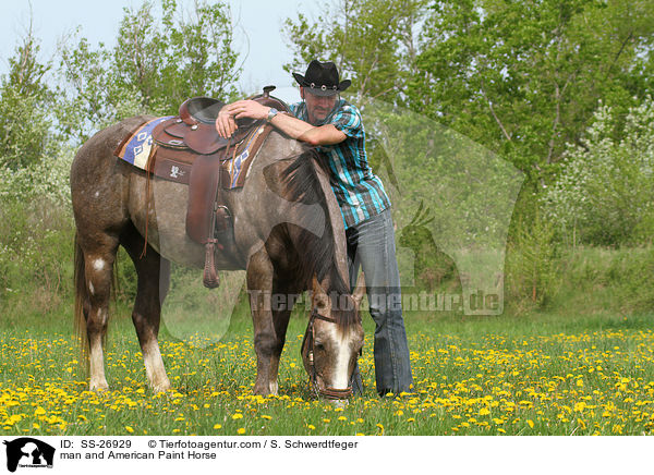 Mann und American Paint Horse / man and American Paint Horse / SS-26929