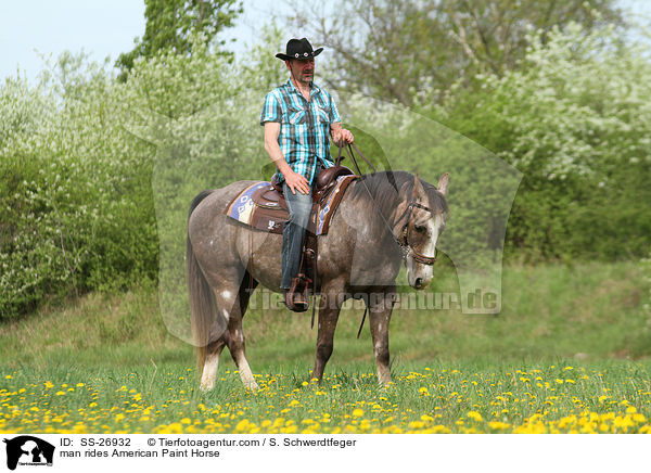 Mann reitet American Paint Horse / man rides American Paint Horse / SS-26932
