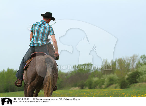 Mann reitet American Paint Horse / man rides American Paint Horse / SS-26940