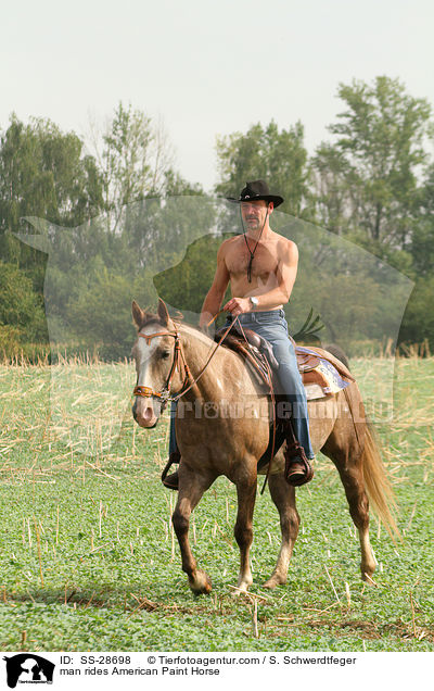 man rides American Paint Horse / SS-28698