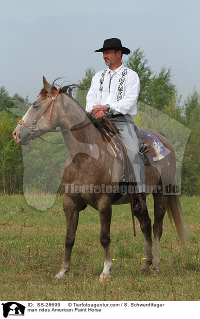 Mann reitet American Paint Horse / man rides American Paint Horse / SS-28699