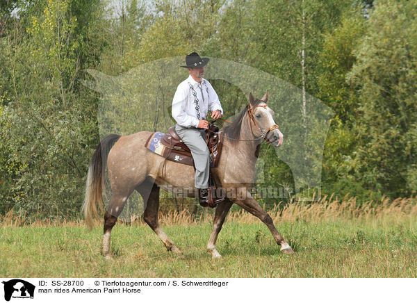 man rides American Paint Horse / SS-28700