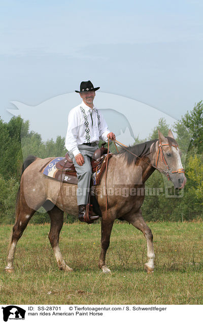 Mann reitet American Paint Horse / man rides American Paint Horse / SS-28701