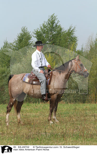 Mann reitet American Paint Horse / man rides American Paint Horse / SS-28702
