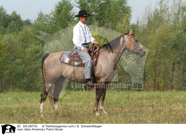 Mann reitet American Paint Horse / man rides American Paint Horse / SS-28703