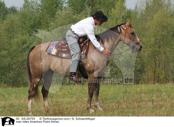Mann reitet American Paint Horse / man rides American Paint Horse / SS-28704