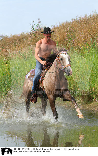 Mann reitet American Paint Horse / man rides American Paint Horse / SS-28708