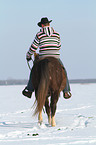 man rides American Paint Horse