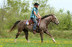 man rides American Paint Horse