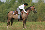 man rides American Paint Horse