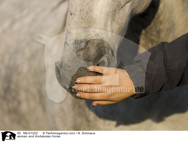 Frau und Andalusier / woman and Andalusian horse / NS-01222