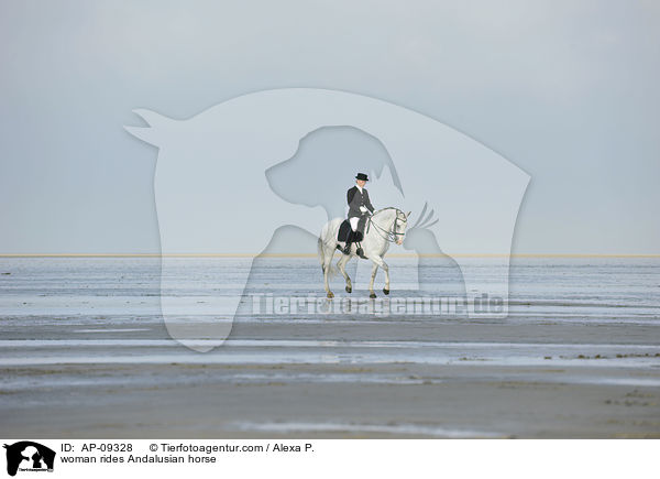 woman rides Andalusian horse / AP-09328