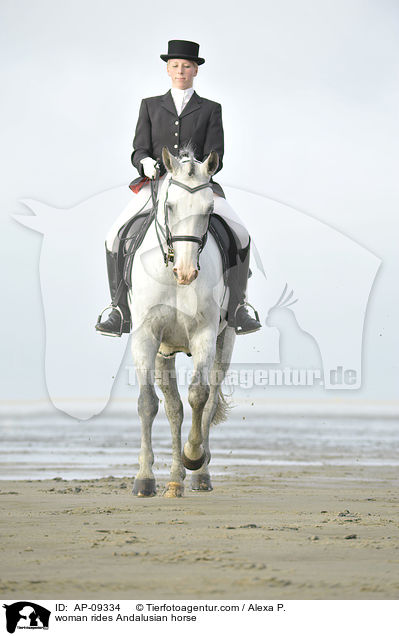 Frau reitet Andalusier / woman rides Andalusian horse / AP-09334
