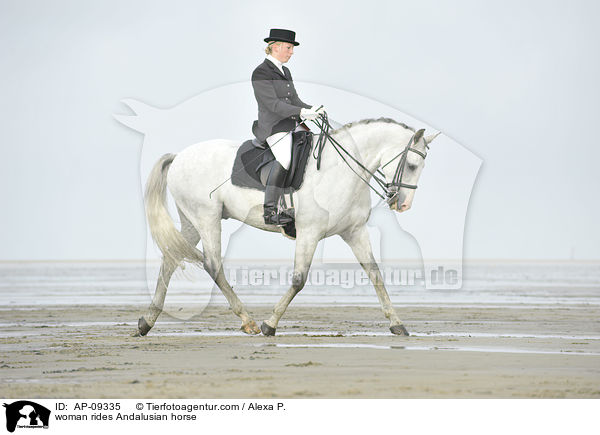 woman rides Andalusian horse / AP-09335