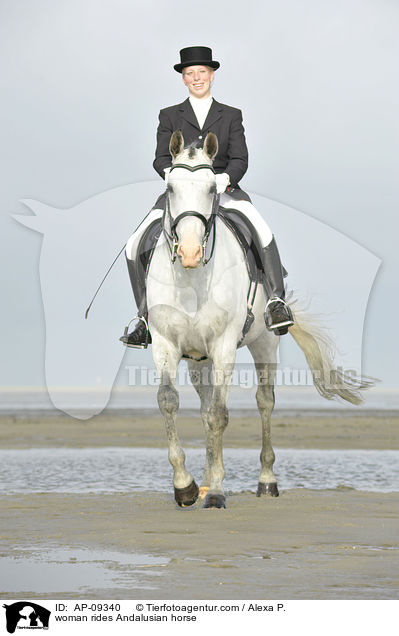 woman rides Andalusian horse / AP-09340