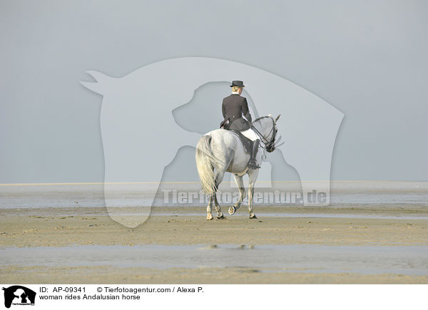 woman rides Andalusian horse / AP-09341