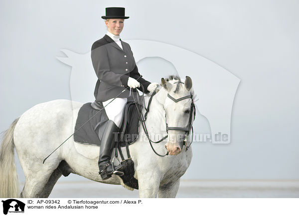 woman rides Andalusian horse / AP-09342