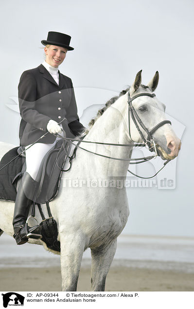 Frau reitet Andalusier / woman rides Andalusian horse / AP-09344