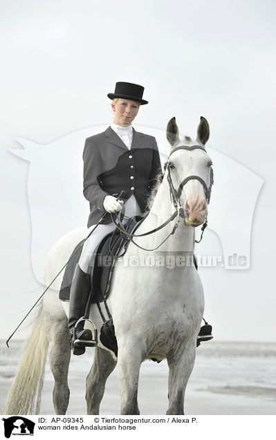 woman rides Andalusian horse / AP-09345