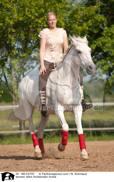 Frau reitet Andalusier / woman rides Andalusian horse / NS-03797