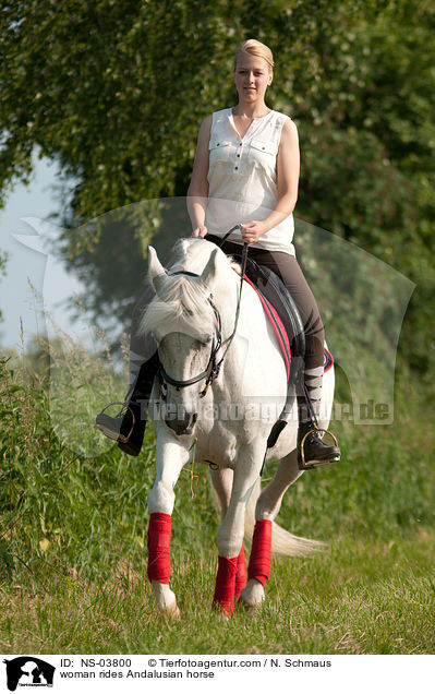 Frau reitet Andalusier / woman rides Andalusian horse / NS-03800