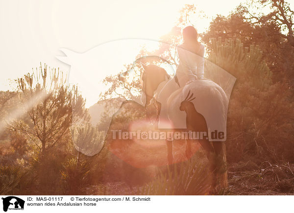 Frau reitet Andalusier / woman rides Andalusian horse / MAS-01117