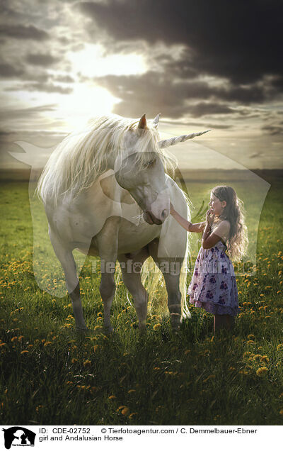 Mdchen und Andalusier / girl and Andalusian Horse / CDE-02752