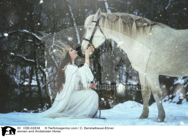 Frau und Andalusier / woman and Andalusian Horse / CDE-02838