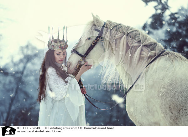 Frau und Andalusier / woman and Andalusian Horse / CDE-02843