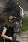 woman and andalusian horse