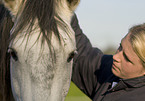 woman and Andalusian horse