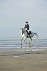 woman rides Andalusian horse