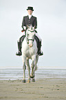 woman rides Andalusian horse