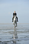 woman rides Andalusian horse