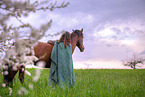 woman and Andalusian Horse