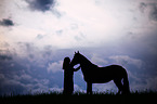 woman and Andalusian Horse