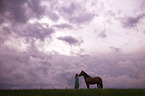 woman and Andalusian Horse