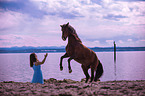 woman and Andalusian Horse