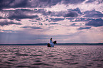 woman and Andalusian Horse