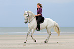 woman rides Andalusian Horse