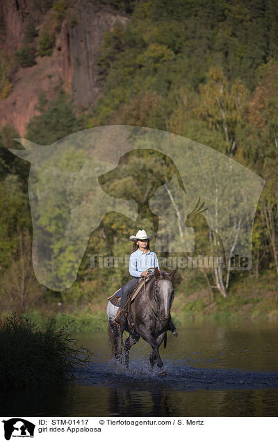 Mdchen reitet Appaloosa / girl rides Appaloosa / STM-01417