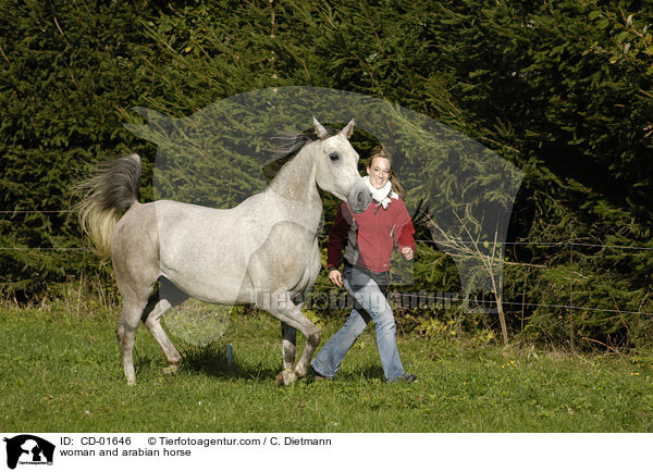 Frau und Araber / woman and arabian horse / CD-01646