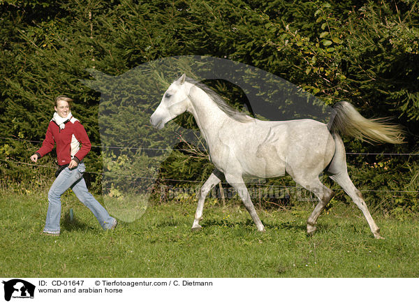 Frau und Araber / woman and arabian horse / CD-01647