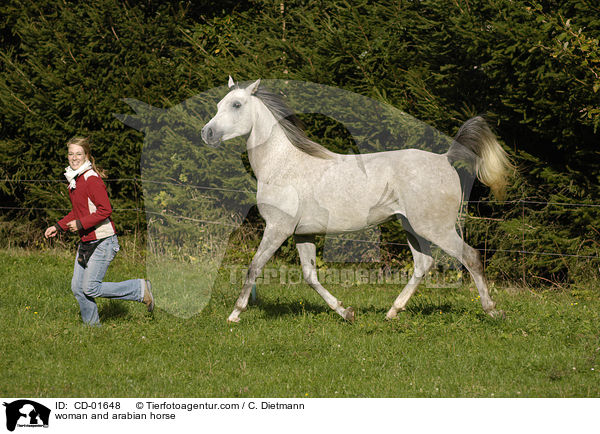 Frau und Araber / woman and arabian horse / CD-01648