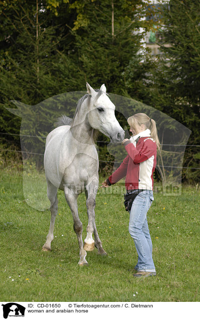 Frau und Araber / woman and arabian horse / CD-01650