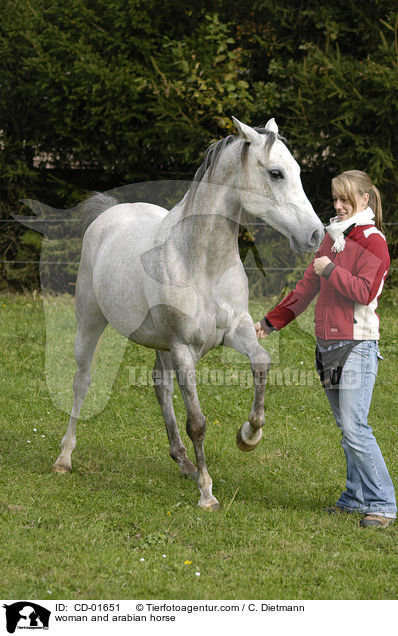 Frau und Araber / woman and arabian horse / CD-01651